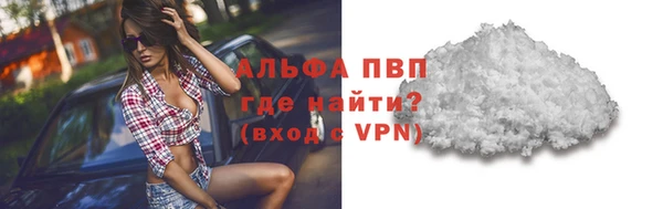 ПСИЛОЦИБИНОВЫЕ ГРИБЫ Инсар