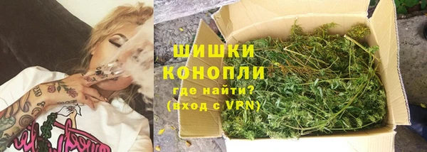 ПСИЛОЦИБИНОВЫЕ ГРИБЫ Инсар