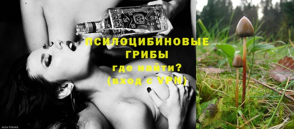 ПСИЛОЦИБИНОВЫЕ ГРИБЫ Инсар