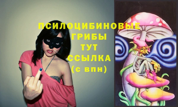 ПСИЛОЦИБИНОВЫЕ ГРИБЫ Инсар