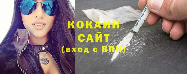 ПСИЛОЦИБИНОВЫЕ ГРИБЫ Инсар