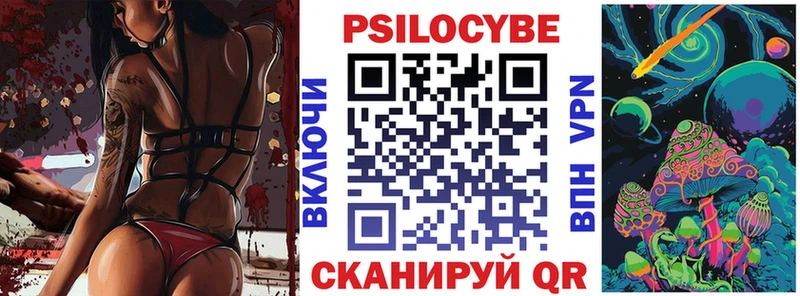 Псилоцибиновые грибы Cubensis Купить Галич