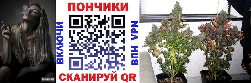Шишки марихуана план  Купить  Галич 
